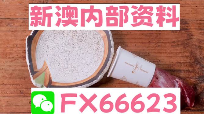 新澳精准资料免费提供网,动态词语解释落实_顶级版91.315