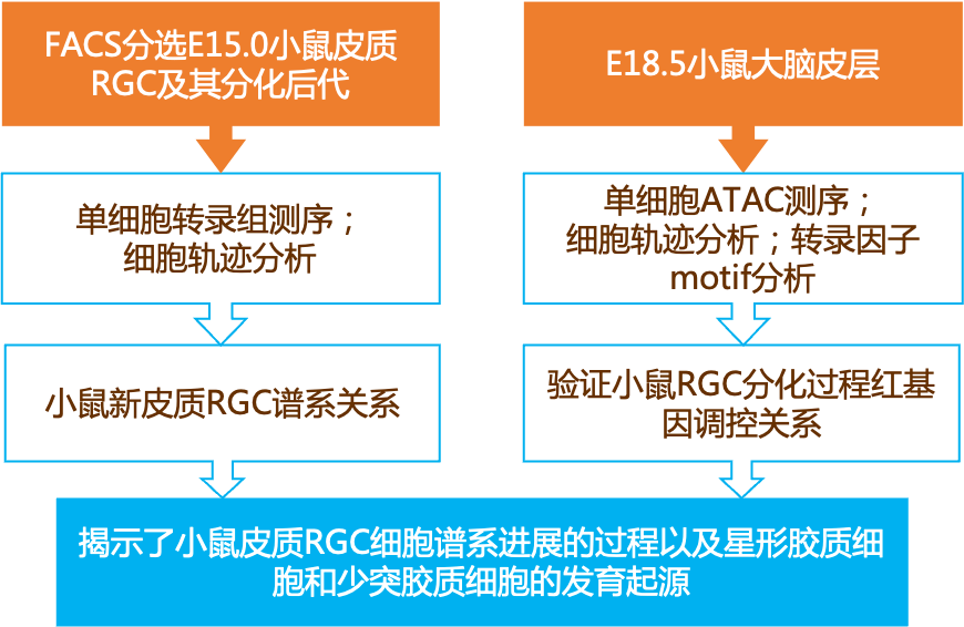 新奥正版全年免费资料,决策资料解释落实_nShop36.162