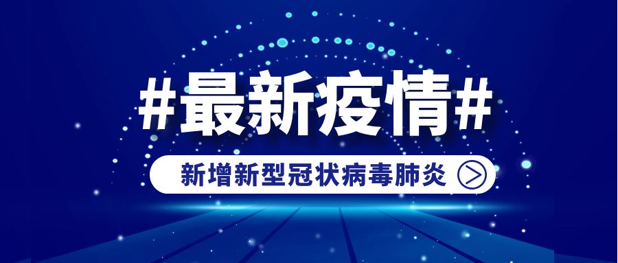 新澳门六开彩开奖结果2020年,稳定评估计划_XP68.532