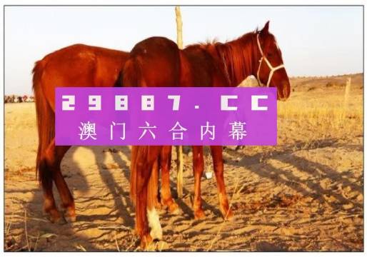 新澳门今晚开特马开奖,最新核心解答落实_专业款27.536