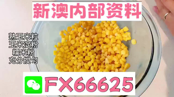 新澳门一肖中100,动态调整策略执行_kit60.754