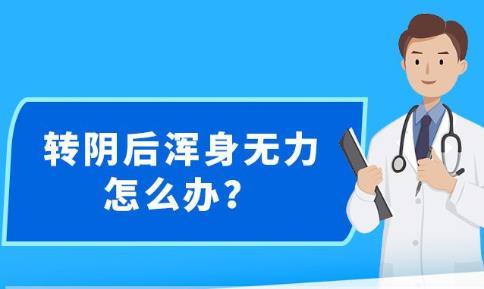 新澳精准资料免费提供网,决策资料解释落实_iPad38.736