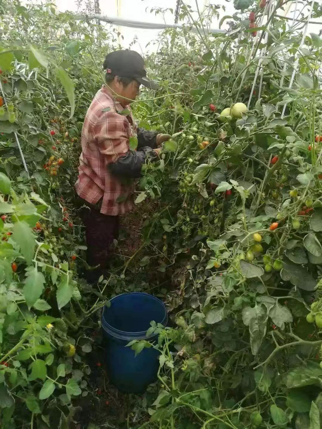 从零起步成为直播界明星，红人直播教程