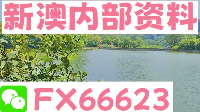 新澳精准资料免费提供网站有哪些,准确资料解释落实_U19.287